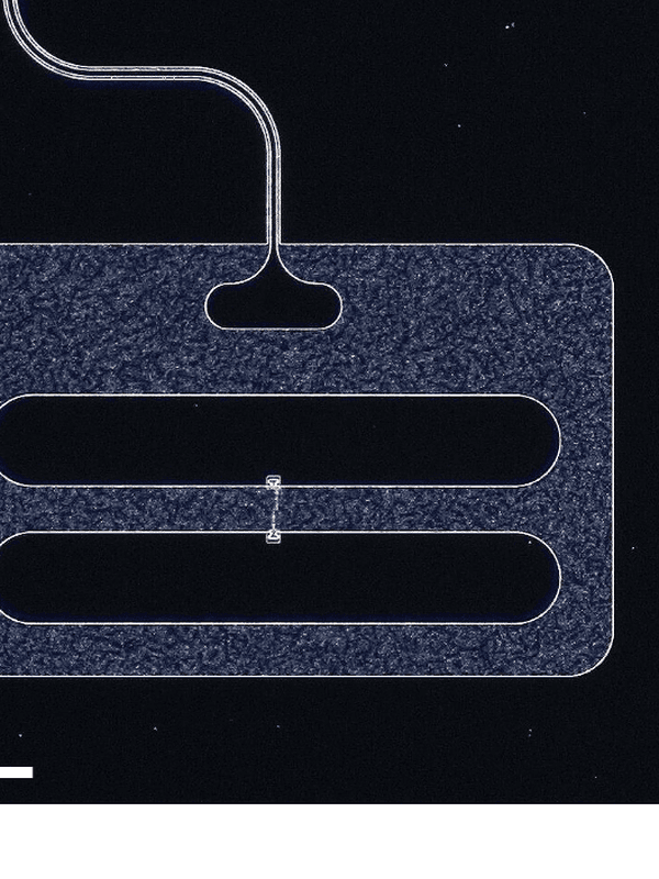 Figure from 2D transmons with lifetimes and coherence times exceeding 1 millisecond